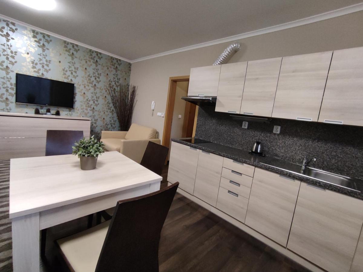 Relax Harrachov Apartments מראה חיצוני תמונה